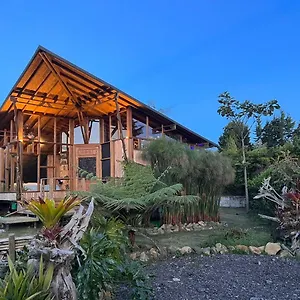 Alai Campo de lujo